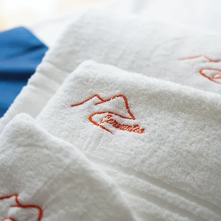 Cervantes Πανσιόν 4*